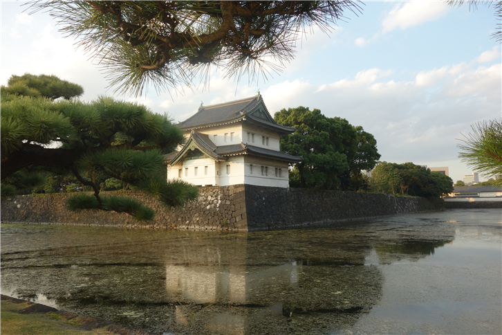tokyo-2015 5472 Imperial Palace in twilight-crop-v2.JPG